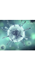 Novel Corona Virus Covid 19 Real Time PCR Kit , CE IVD Novel Coronavirus (2019-nCoV) Real Time...